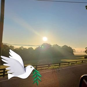 Meet your Posher, Leo